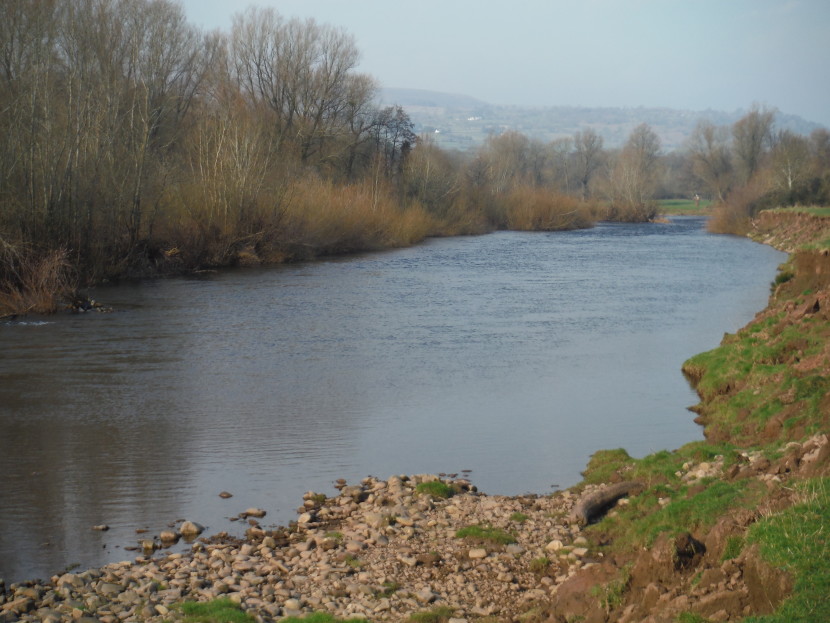 Middle Usk in spring